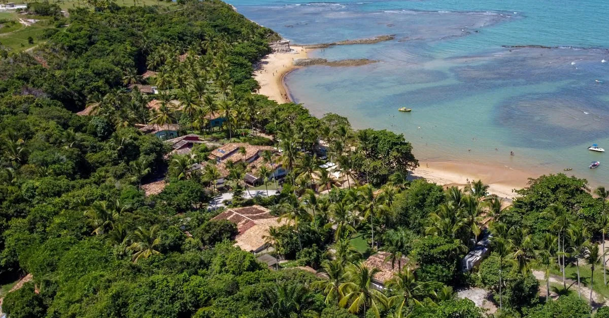 Como chegar na Praia do Forte: dicas imperdíveis