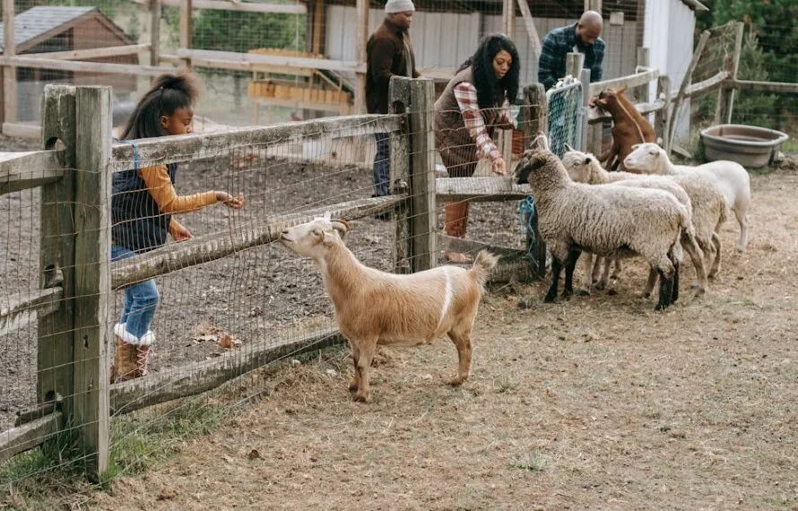 Descubra o melhor hotel fazenda em São Paulo agora!