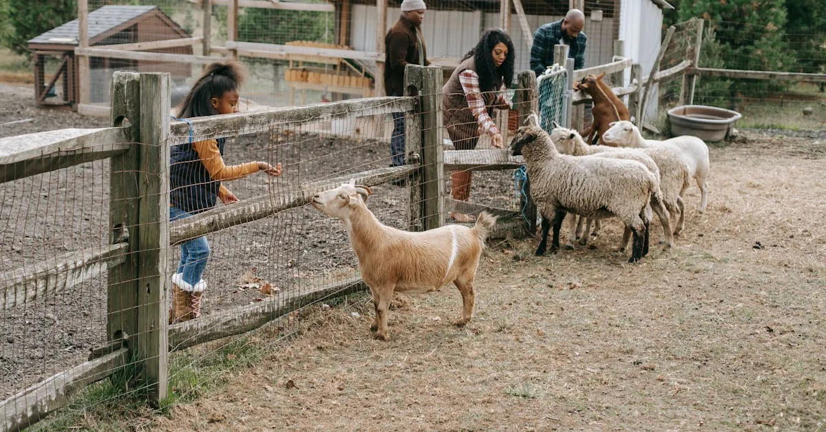 Descubra o melhor hotel fazenda em São Paulo agora!
