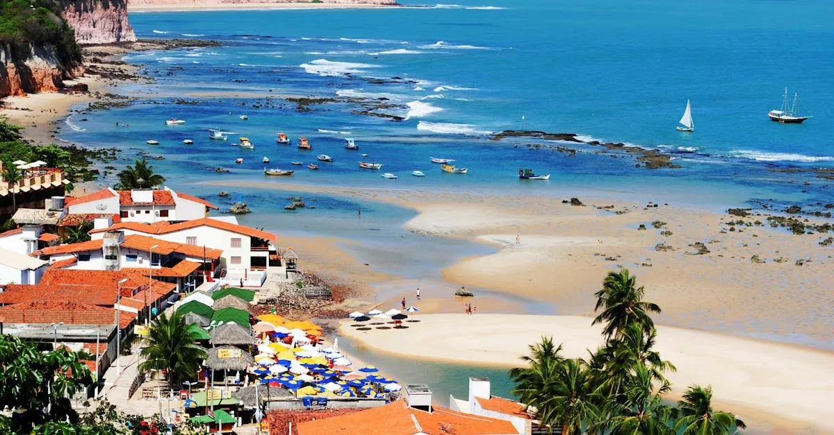Descubra o que fazer na Praia do Francês agora!