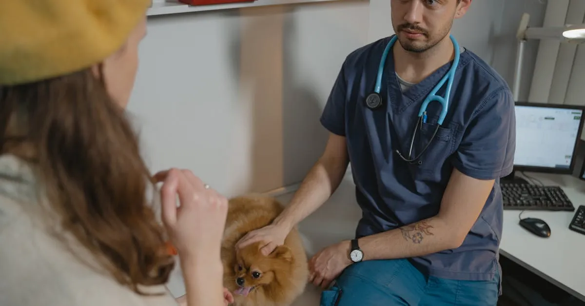 Encontre o veterinário em Guarulhos que seu pet merece