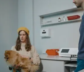 Encontre o veterinário humanizado e acessível em SP