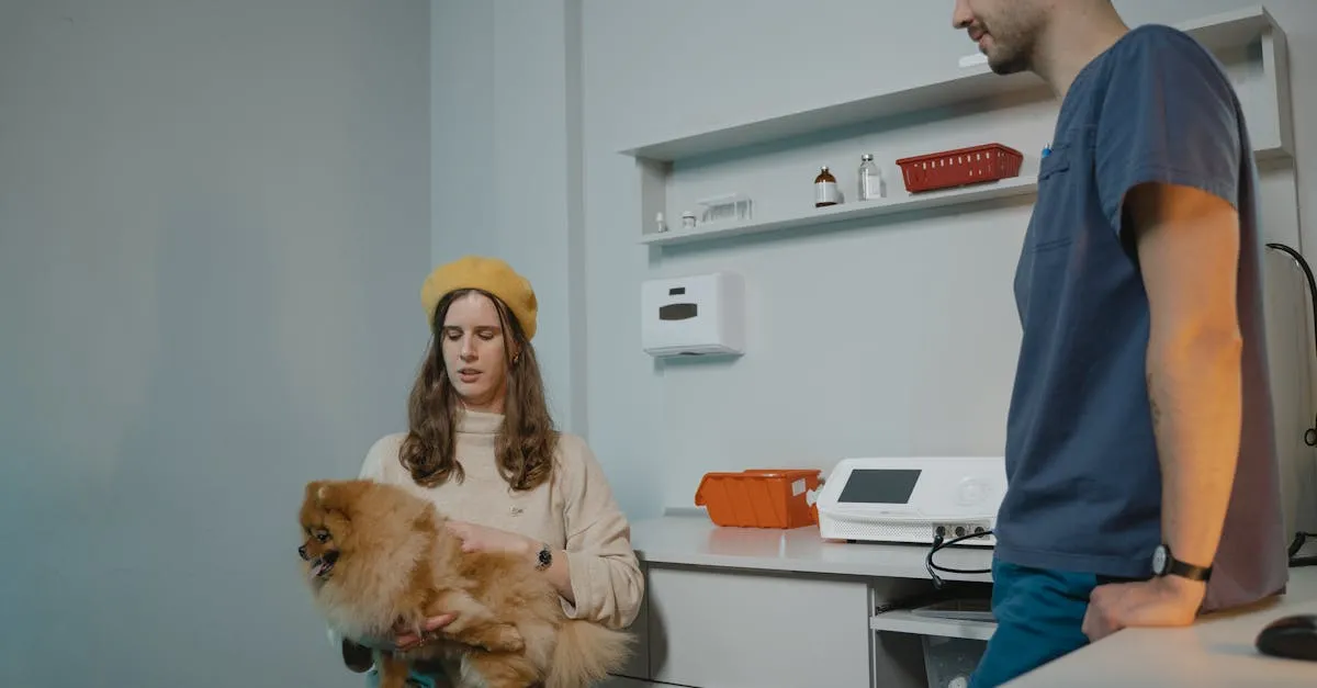 Encontre o veterinário humanizado e acessível em SP