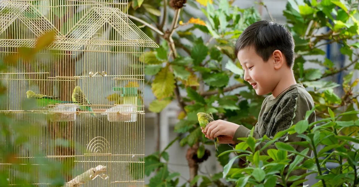 Periquito australiano: segredos para deixá-lo feliz