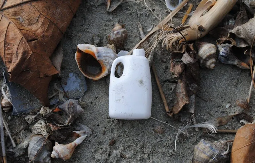 Qual país tem a pior praia do mundo? Descubra aqui!