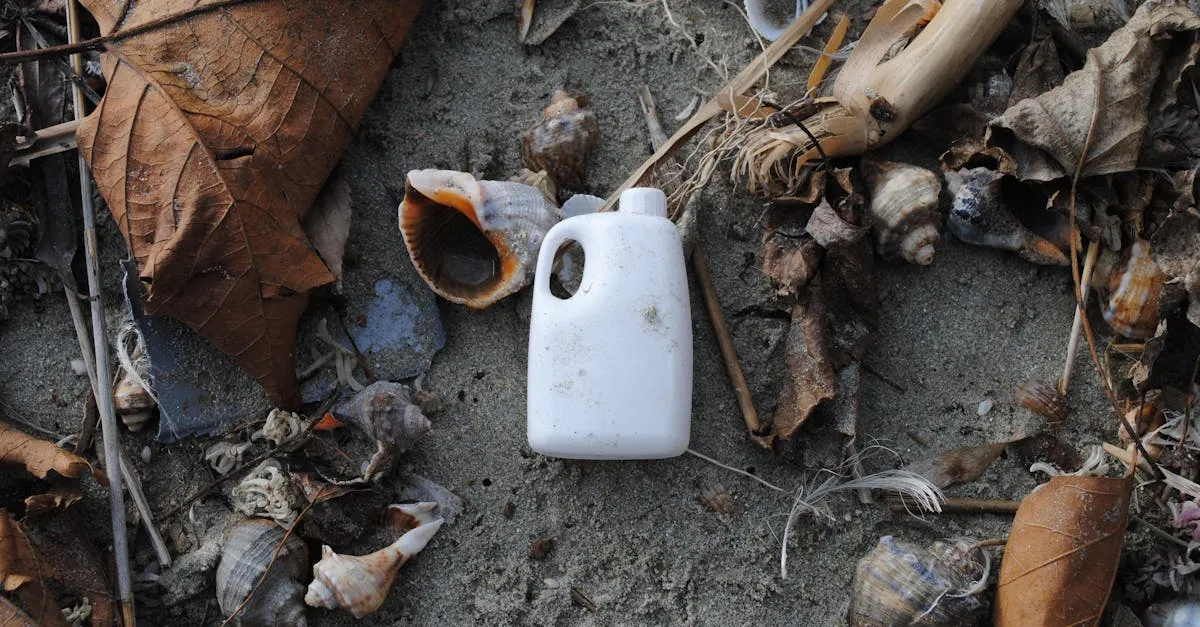 Qual país tem a pior praia do mundo? Descubra aqui!