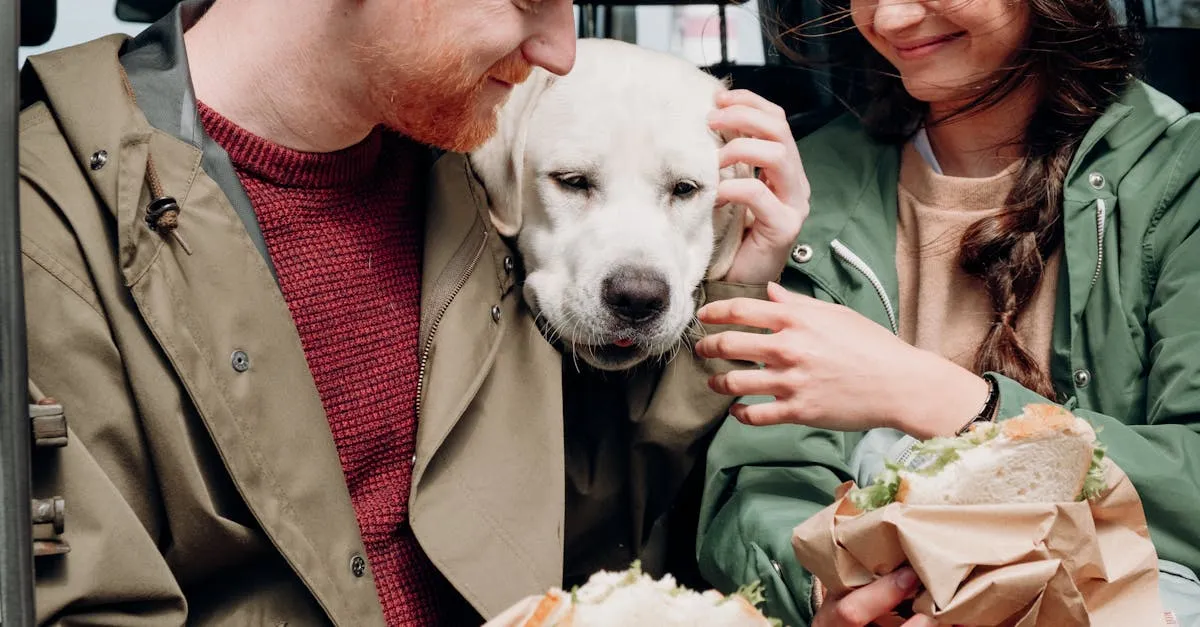 Ração para emagrecer cachorro: descubra as melhores opções