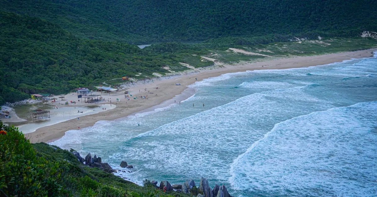 Descubra como chegar na Praia da Joaquina facilmente