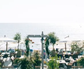 Descubra onde comer na Praia Grande e surpreenda-se!