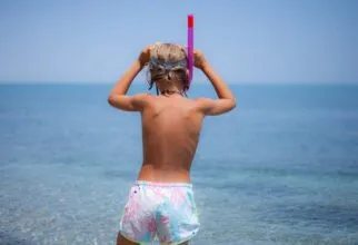 Descubra onde fica a praia de Muro Alto e encante-se