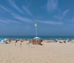 Descubra qual a melhor praia de Praia Grande para você Descubra qual a melhor praia de Praia Grande para você