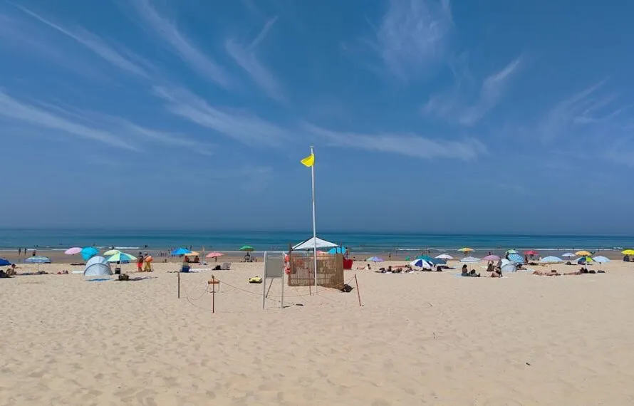Descubra qual a melhor praia de Praia Grande para você Descubra qual a melhor praia de Praia Grande para você