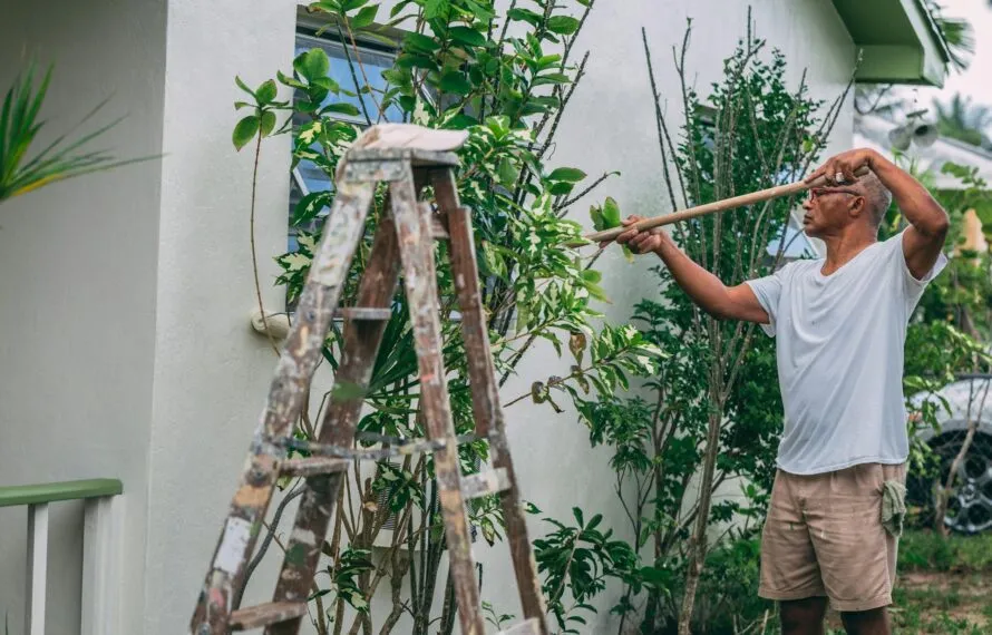 Ambientes externos: como reformar com resistência e estilo