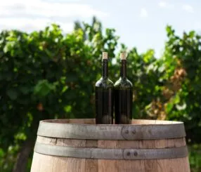 Estilos de vinhos para cada tipo de pessoa: descubra o seu perfil ideal