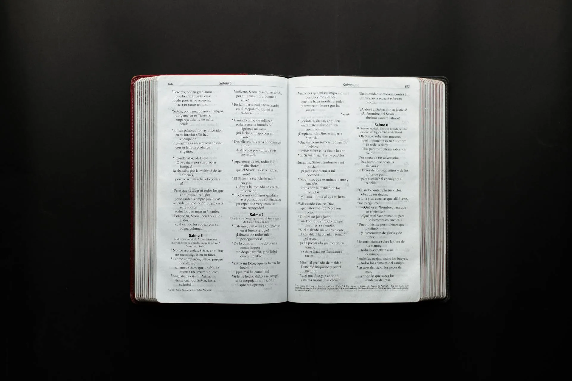 Como aprender mais sobre a bíblia? Veja 9 recomendações!